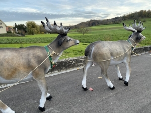 Zwei Rentiere mit Weihnachtsmann Schlitten im seitlichen Profil.
