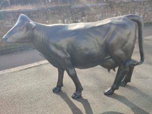 Angus Kuh lebensgross, Dekofigur für den Garten 1