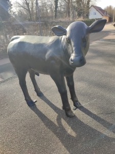 Angus Kalbfigur lebensgross, Deko Figur für drinnen und draussen 3