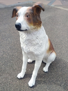 Australian Shepherd Deko-Hundefigur, sitzend, 70 cm hoch 5