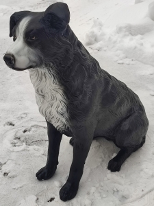 Deko Border Collie lebensgross sitzend, 70 cm hoch 1