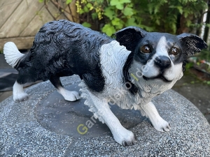 Deko Border Collie stehend, 62cm lang 1