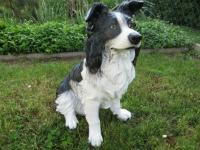 Deko Border Collie Jungtier sitzend, 47 cm hoch