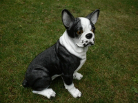 Deko  Boston-Terrier sitzend, 42 cm  