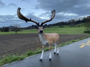 Damhirschfigur 175 cm in der Frontalansicht