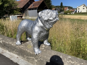 Deko englische Bulldogge lebensgross Deko Gartendeko