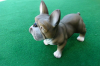 Hundefigur Französische Bulldogge in Beige-Hellbraun, 36 cm hoch, Hundefigur für Wohnungsdekoration