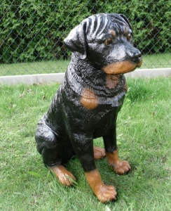 Rottweiler, sitzend, 65 cm hoch