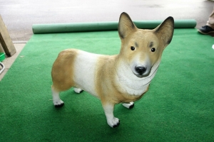 Deko Welsh Corgi Pembroke, stehend, 52 cm hoch