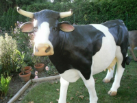 Deko Kuh Figur lebensgross auftrecht weiss-schwarz