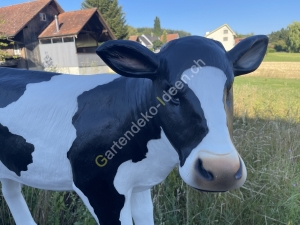 Deko Kalb ( Freiburger Holstein Kuh ) Gesicht