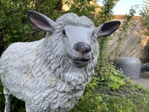 Deko Schaf lebensgross  vorne