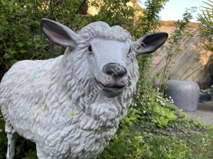 Deko Schaf lebensgross 106 cm lang Seite Gesicht