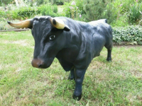 Deko Stier, gross, 111cm lang, schwarz,