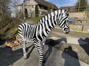 Deko Zebra lebensgross von links mit schwarz-weisser Zeichnung.