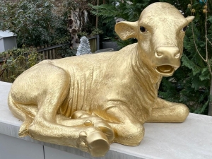 Goldenes Dekokalb lebensgross, liegend, 91 cm lang 