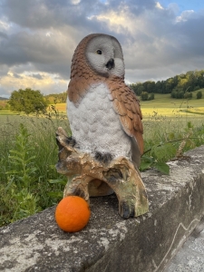 eule als gartenfigur schraeg von vorne rechts betrachtet