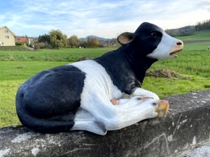 Kalbfigur lebensgross, liegend, schwarz-weiss, 91 cm lang 1