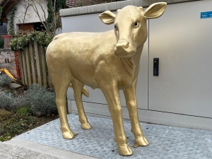 Lebensgrosses, goldenen Kalb