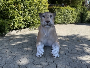 Graue Löwin als Gartenfigur in Frontansicht