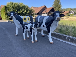 Grosse Kuhgruppe mit zwei Kuehen und einem Kalb