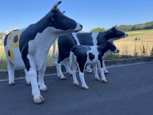 Kuhgruppe mit Kalb von der linken Seite
