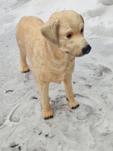 Lebensgrosse Labrador Hund Dekofigur, hier mit einer dunkleren Fellfarbe.