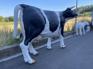 Lebensgrosse Kuhfigur in der Rueckansicht