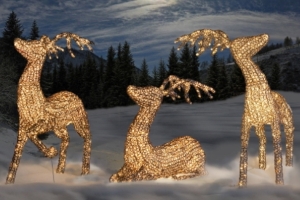 Die 3 grossen LED-beleuchteten Rentiere