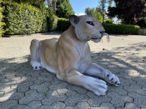 Liegende Löwenfigur von der rechten Seite