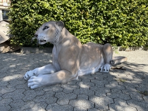 Liegende Löwin als Gartendeko von der linken Seite