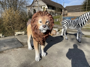 Löwe XXL, Frontalansicht