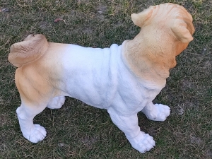 Mops, Deko Hundefigur stehend, Braun-Weiss 3