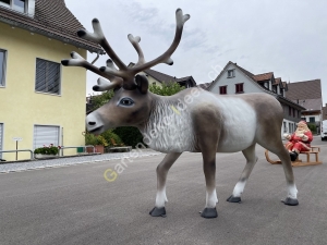 Rentier für Weihnachten Weihnachtsrentier