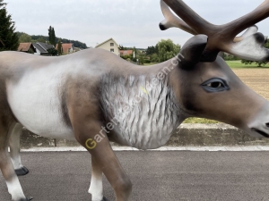 Rentier für Weihnachten Weihnachtsrentier seite