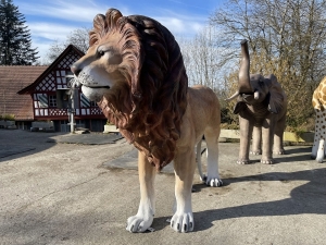 Stehender Löwe, Schrägansicht vorne