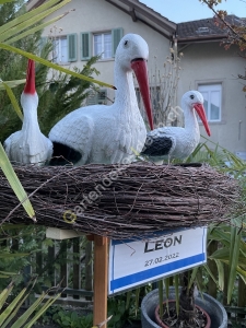 Storch Geburtstafel Storch Deko zur Geburt 1