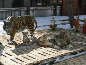 Tigerfiguren Familie lebensgross im 3-Teiligen Set 1