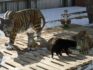 Lebensgrosse Tigerfamilie Dekofiguren für den Garten im 3-er Set
