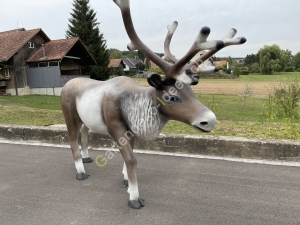 Weihnachtsdeko Rentier Deko lebensgross