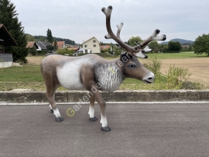 Weihnachtsdeko Rentier Deko lebensgross