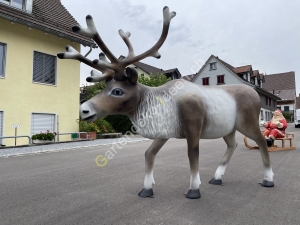 Weihnachtsdeko Rentier Deko lebensgross 200 cm