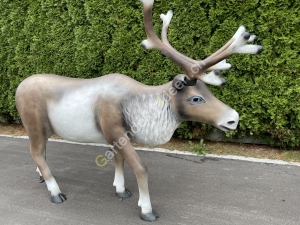 XXL  Weihnachtsdeko Rentier Deko lebensgross 3