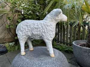 Stehendes Dekoschaf mit gut sichtbarer Vorderansicht.