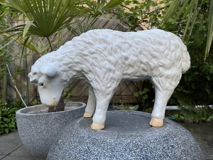 Kleine Schaf Gartenfigur beim Fressen dargestellt.
