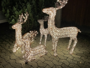 Beleuchtete XXL Rentiere Familie outdoor in schraeger Ansicht.
